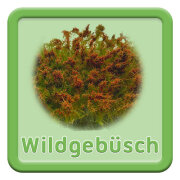 Wildgebüsch
