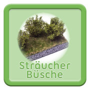 Sträucher / Büsche