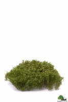 Wildgebüsch (15x15cm) hellgrün