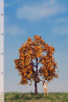 Apfelbaum    (Herbst)  12-16 cm