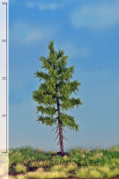 Europäische Waldlärche  12-16 cm