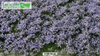 Blütenbüschel lavendel   (15x21cm)