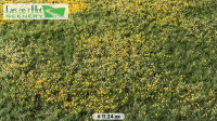 Blumenwiese Sommer   (18,5x26,5cm)